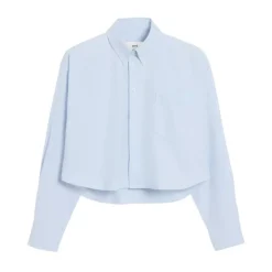 Klares Blaues Button-Down Hemd
