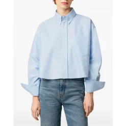 Klares Blaues Button-Down Hemd