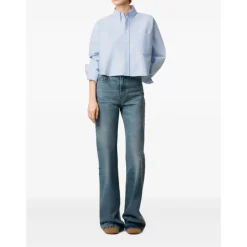 Klares Blaues Button-Down Hemd