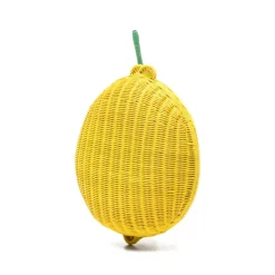 Leaf Woven Clutch Bag
