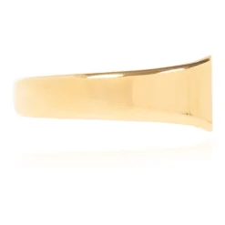Two-Finger Siegelring